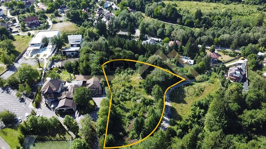 Oportunitate Investitie Teren Dambu Morii | Necesar PUD | Utilitati | 4.800mp - 5