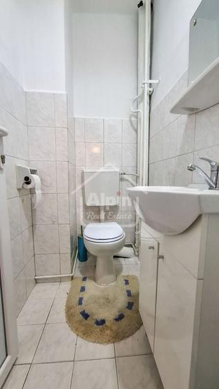 Suprafata Generoasa I Zona Gemenii - 21