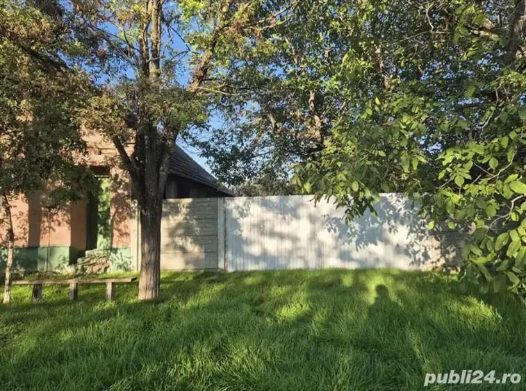 Casa batraneasca - 8