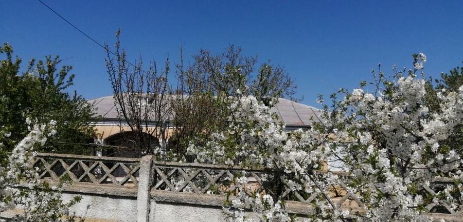 Casa cu teren 789 metri patrati Cismele - 1