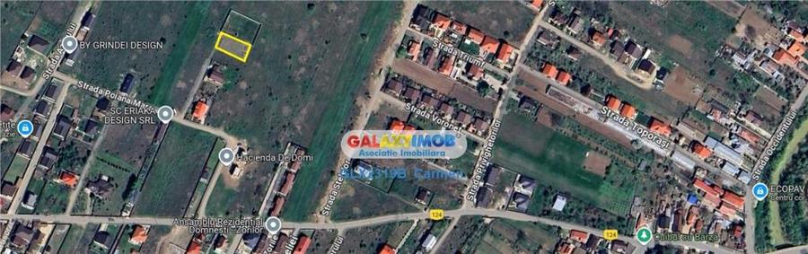 Teren intravilan - Domnesti - Intrarea Albastrelelor - 10