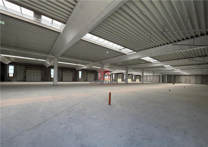 Depozit/spatiu industrial/hala Chitila - Rudeni, ILFOV - 11