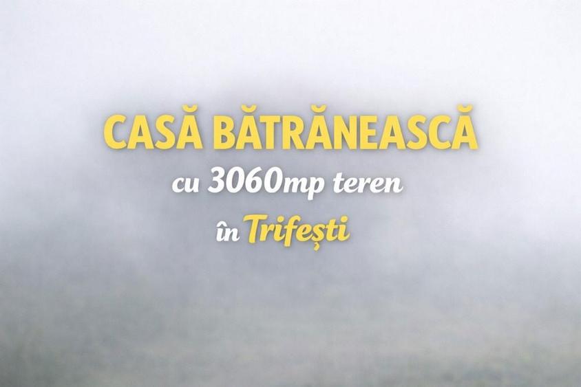 Casa Batraneasca in sat Trifesti cu 3060mp teren - 1