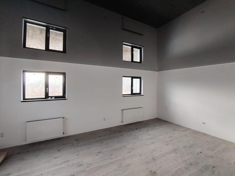 Casa cu 5 camere, doua bai Bucium,fara tva - 18