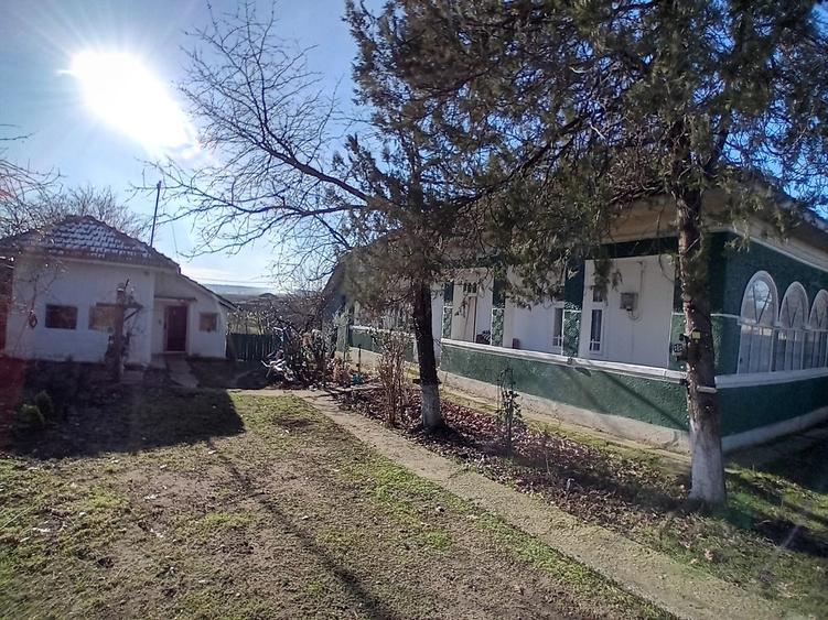 Calarasi, comuna Soldanu - 7