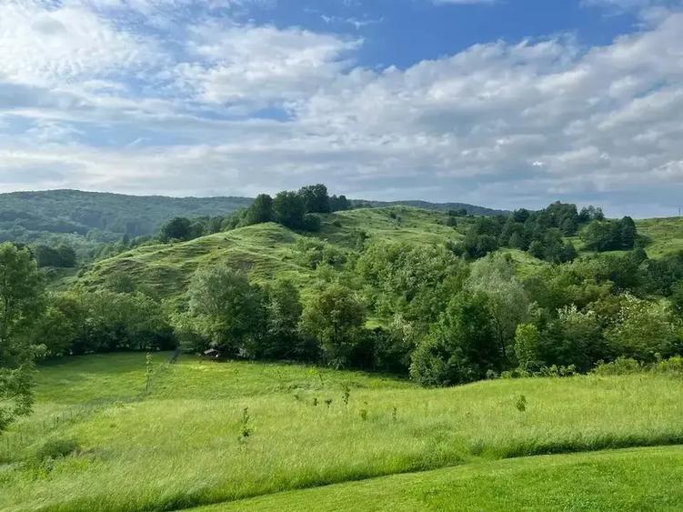 TEREN DE VANZARE -DEALURILE SULTANULUI - 1