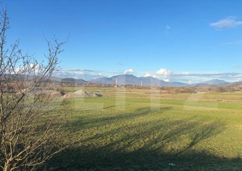 Teren extravilan 1000 mp, zona Livezile - 1