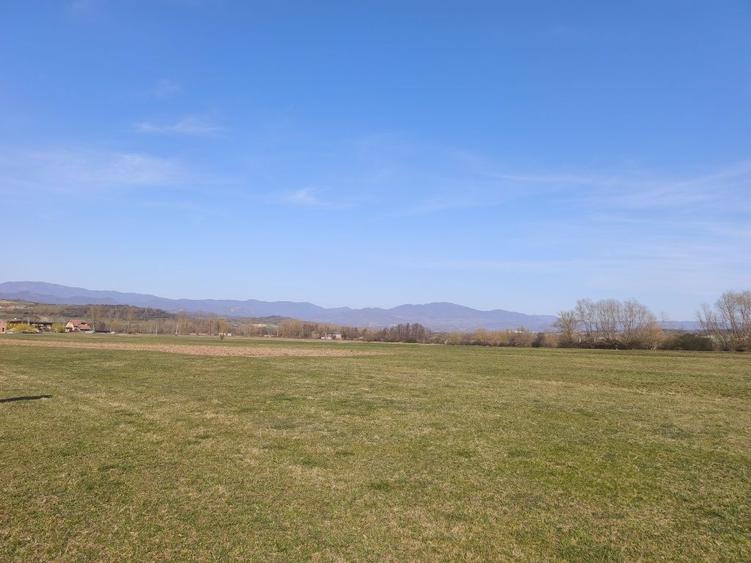 Teren intravilan ,36 arii , Chechis ,la 12 km de Baia Mare - 4