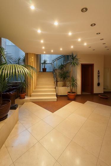 VILA CU PONTON LA LAC, PISCINA IDEALA PENTRU AFACERE sau LOCUIT - 43