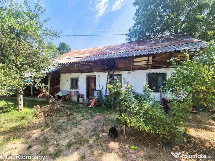 Casa , teren intravilan Urlueni Barla Arges - 15