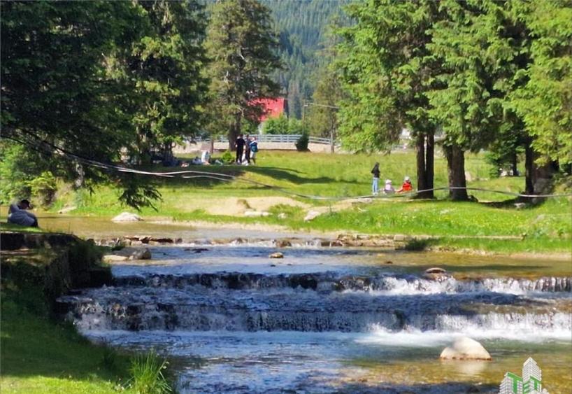Teren intravilan de in Dambovita / Padina/ Muntii Bucegi - 4