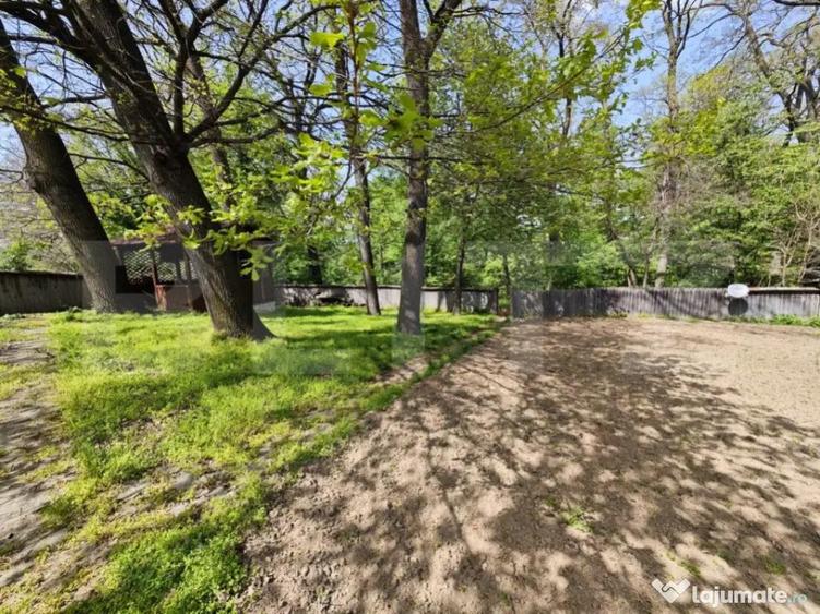 Padure in Barnova 1800 mp + 600 mp teren pentru casa - 3