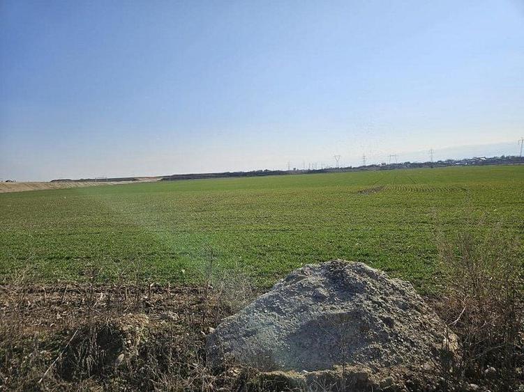 Teren intravilan 5000 mp de vânzare   Cheiul Dâmboviței apropiere A2 - 5