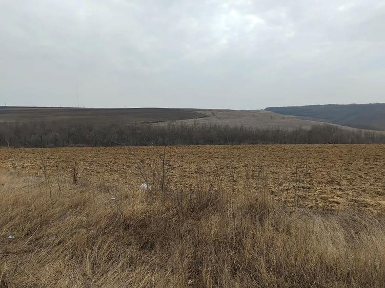 Teren 12 ha DN11A Podu TurculuiCabesti/ideal ferma,hale,fotovoltaic - 4