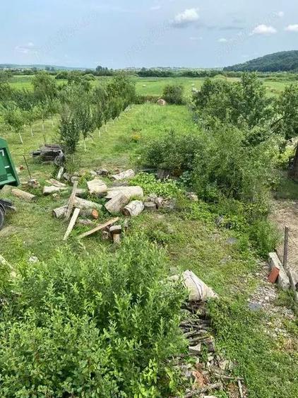 Casa de vanzare parter+etaj in localitatea Beliu - 2