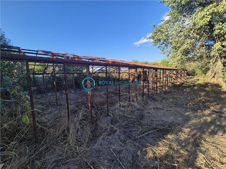 Royal Imobiliare - Vanzare Vila Zona Paulesti - Gageni - 44