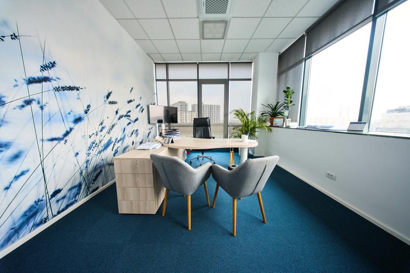 Birouri cu depozit de închiriat - 39