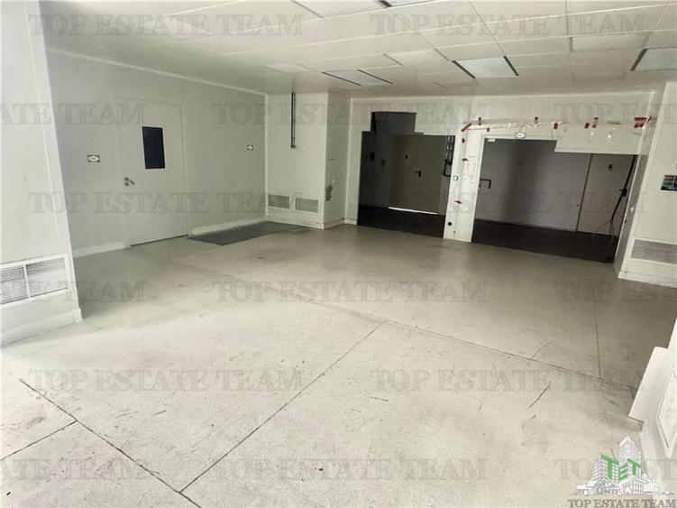 Spatiu industrial de inchiriat Central /  Vitan - 7