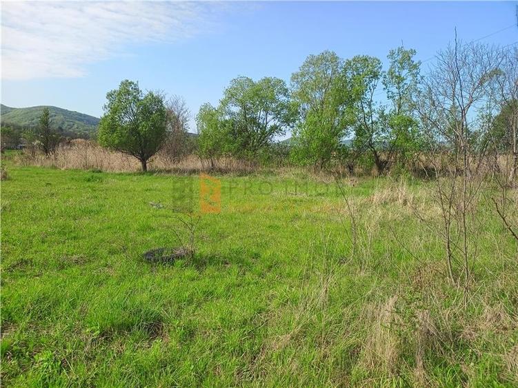 Teren intravilan si extravilan zona Viperesti - 2