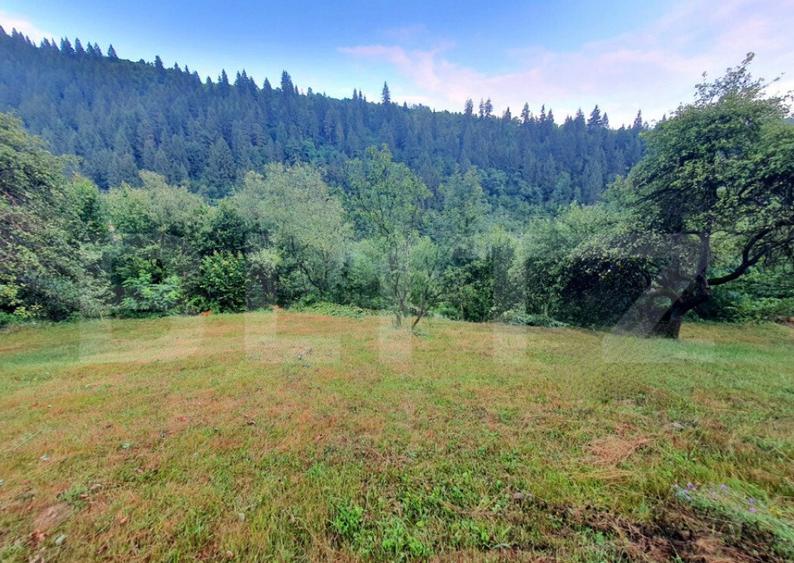 Teren intravilan, 31 ari, Ilva Mica, zona montana - 3