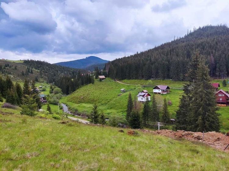 Teren extravilan Poiana Horea - 8