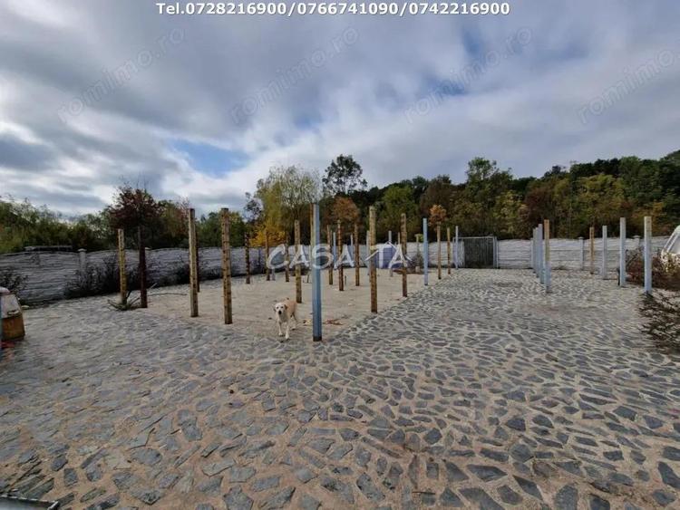 Teren Intravilan (498 mp),situat in Botorogi - Danesti - 9