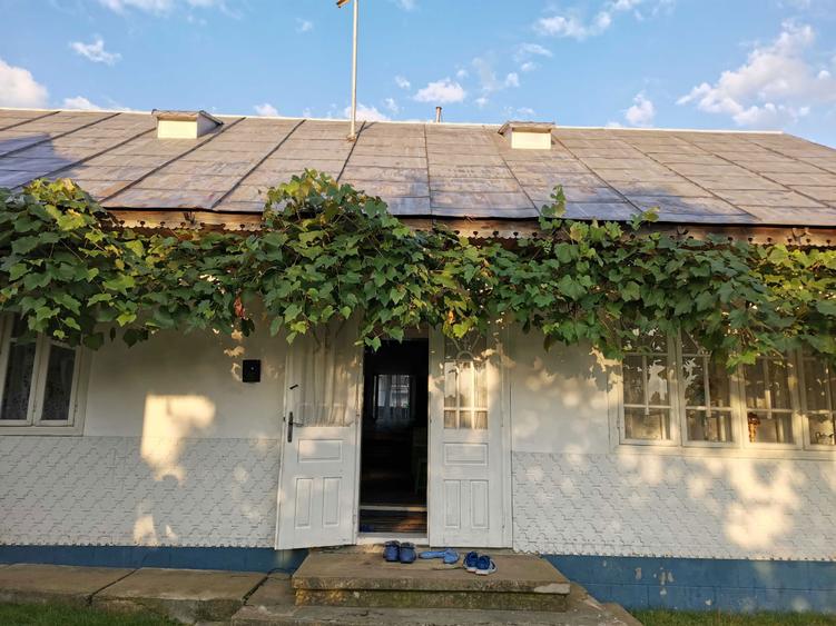 Vand teren intravilan cu casa 7400 mp in Sasca Mare, Suceava - 3