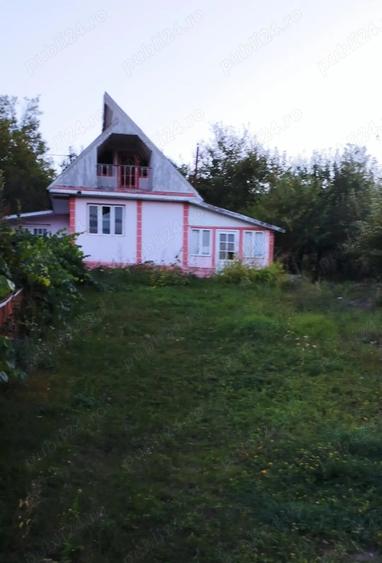 Casa batraneasca Lipovat - 3