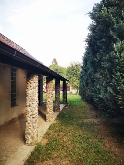 Casa individuala, complet renovata, pe Valea Draganului! - 6