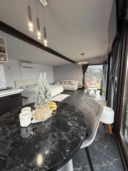 Cabana de inchiriat Bistra - 2