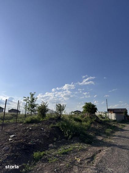 Teren Intravilan Branesti-Ilfov, la marginea padurii, aproape de lac - 4