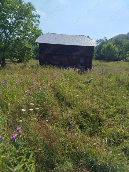 Vand casa si teren Vadu Oii, Gura Teghii - 3