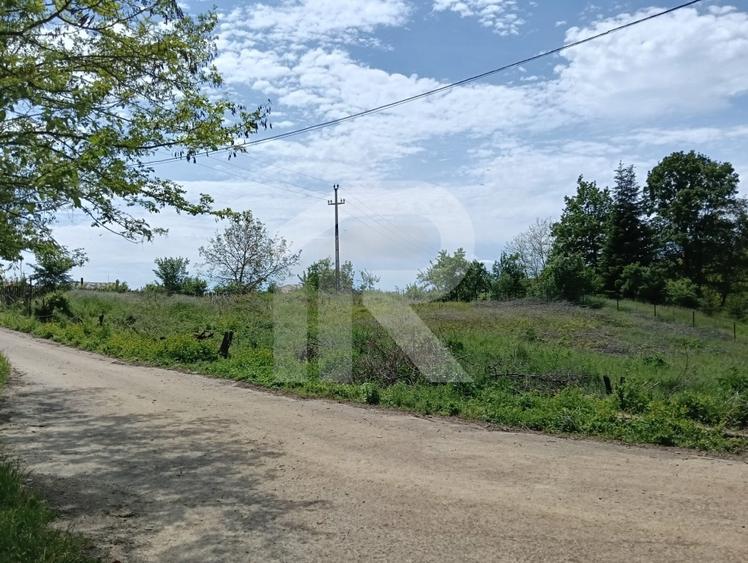 intravilan Tiparesti, relaxare aproape de padure - 3