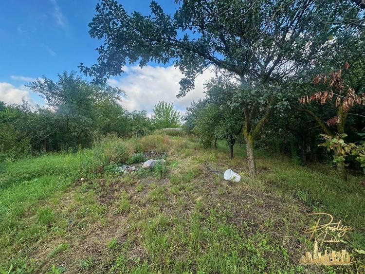 Casa cu anexe si teren de 959 mp de vanzare in Tinca - Bihor - 39