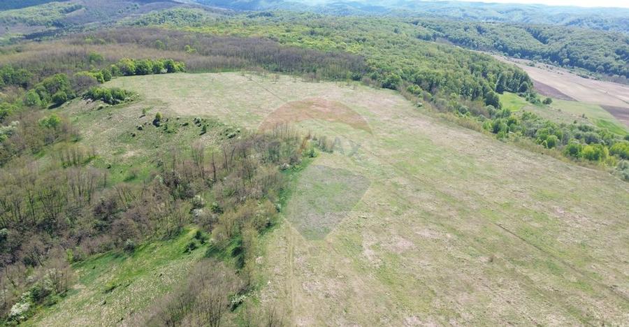 Domeniu - 66 Hectare - Teren deosebit Copsa Mica cu desch... - 3