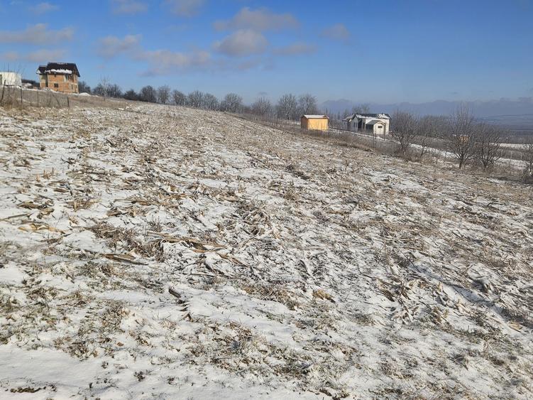 Teren 571 mp Chicerea-Tomesti - 5