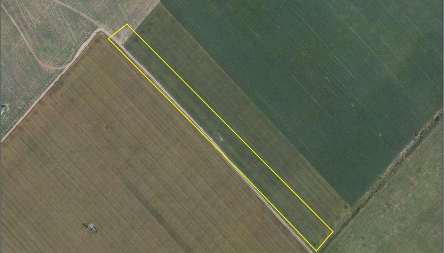 Teren de vanzare – 25.000 mp, Pantelimon, intre cele doua centuri ale Capitalei - 1