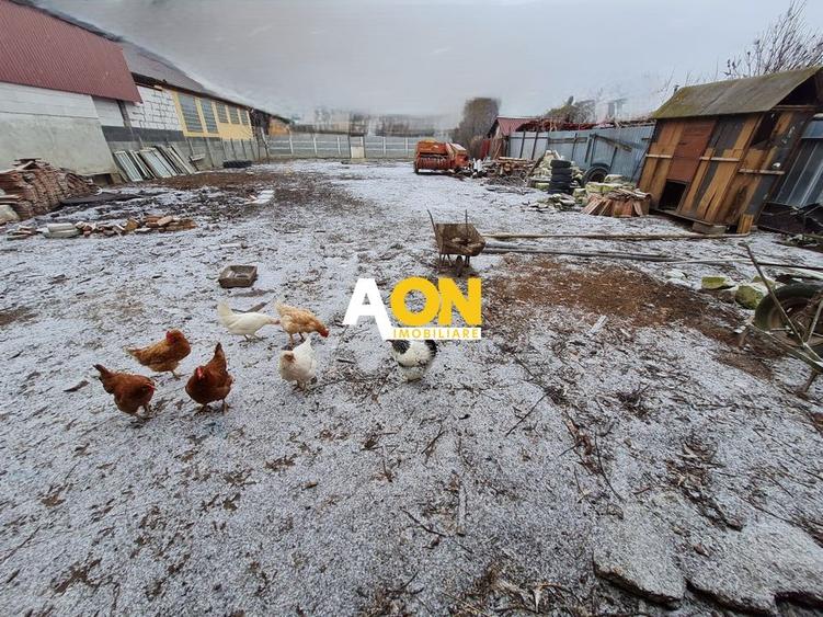 Casa 5 Camere, 143 mp + Anexa 65 m, Teren 1061 mp, Centru - 4