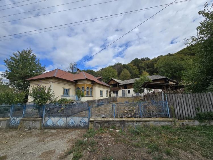 Casa si teren 5.000 mp, Stroesti - 13