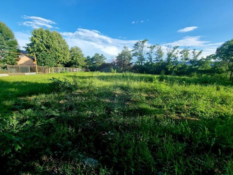 Teren 1,749mp Piatra-Neamt / Strada Zambilelor - 9