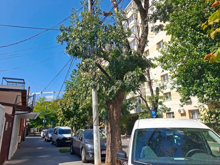 Diham servicii diverse birouri firme - 1