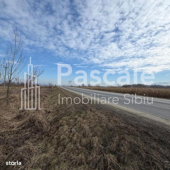 Teren De VanzareDn1, Intre Avrig Si Brasov | Potential Maxim - 2