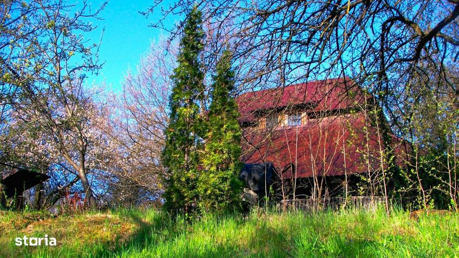 Domeniu exclusivist cu izvor propriu Cheile Turzii / Mun?ii Apuseni - 1