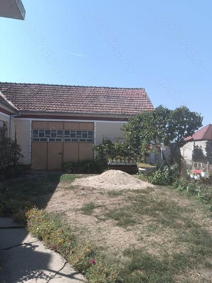 Casa de vanzare in Alio? jude?ul Timi? - 9