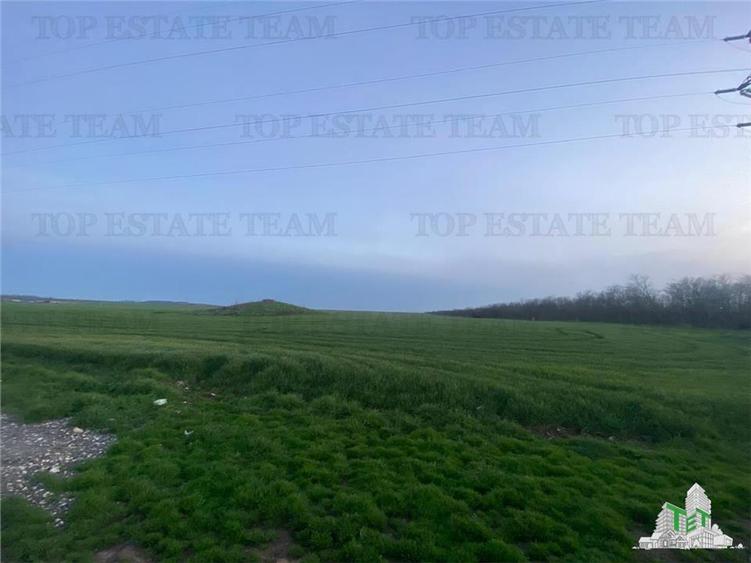 Teren intravilan 15000 mp Costinesti, Constanta - 1