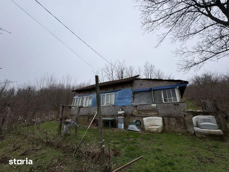 Teren 2.038 mp + Casa 50 mp de vanzare Sat Luncsoru, Com. Ghercest - 4