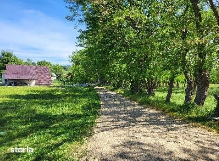 Teren de 1743 mp, în Tisău