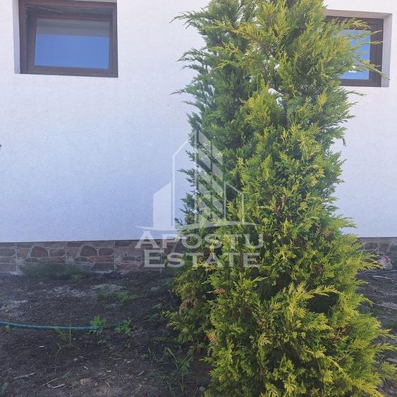 Casă cu 4 camere cu Teren 300 Mp în Bucovăț (Remetea Mare)
