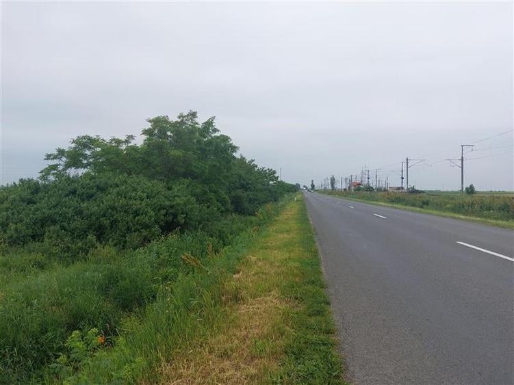 Teren agricol extravilan de 40700 mp, în Exterior Nord