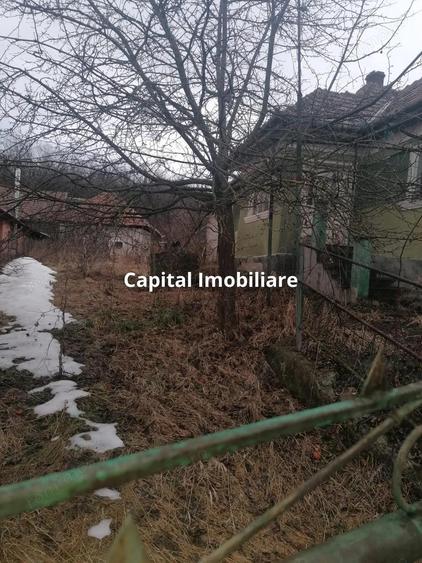 Casa cu utilita?i, teren 3040mp,Ceanu Mic, fara comision !! - 8